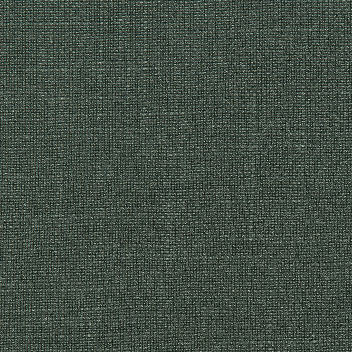 Lovely Aura - 330 Forest