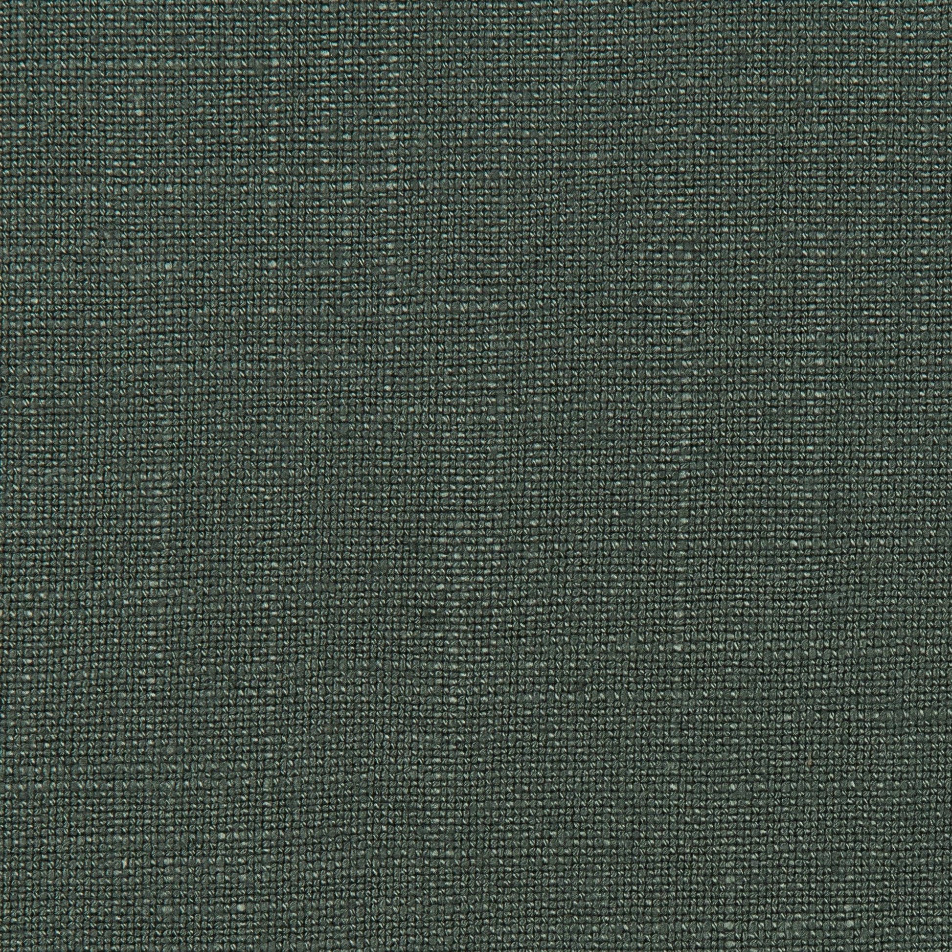 Lovely Aura - 330 Forest
