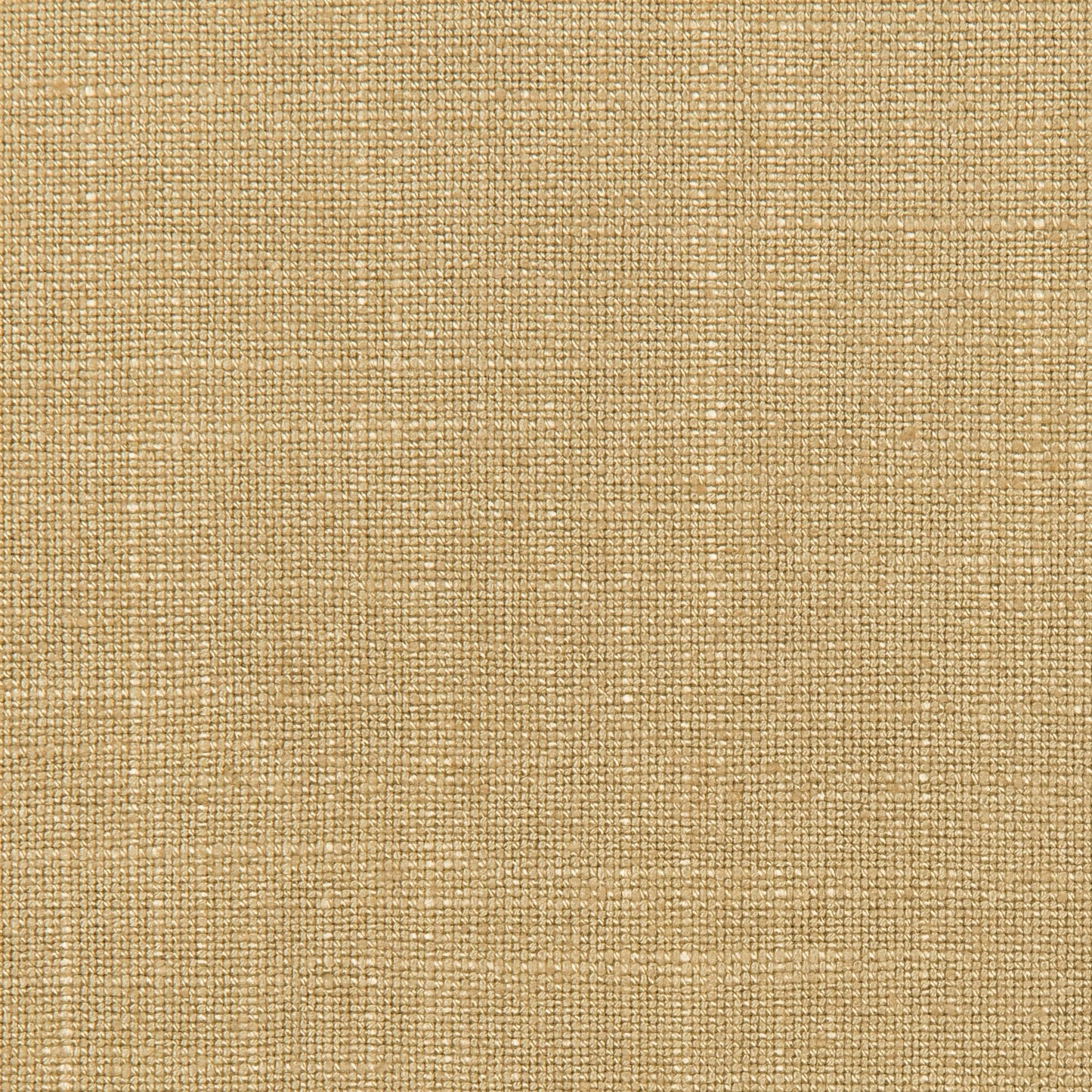 Lovely Aura - 404 Barley