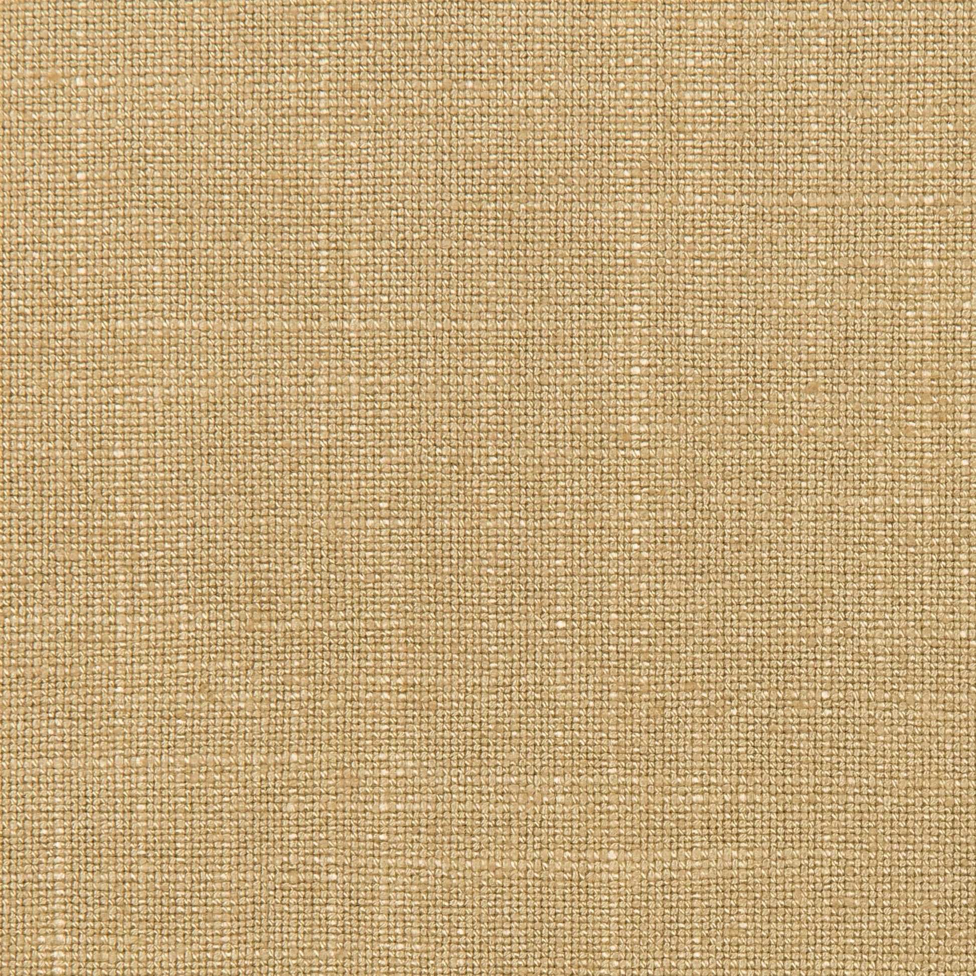 Lovely Aura - 404 Barley