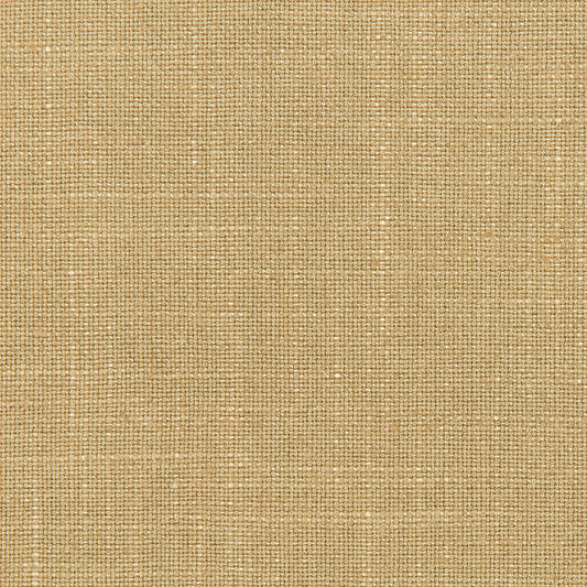 Lovely Aura - 404 Barley