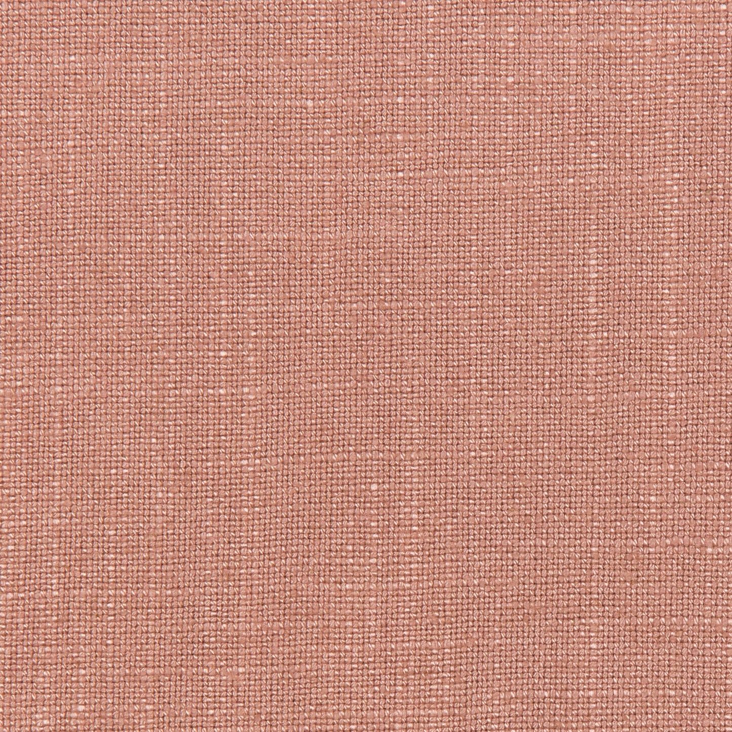 Lovely Aura - 7 Rose