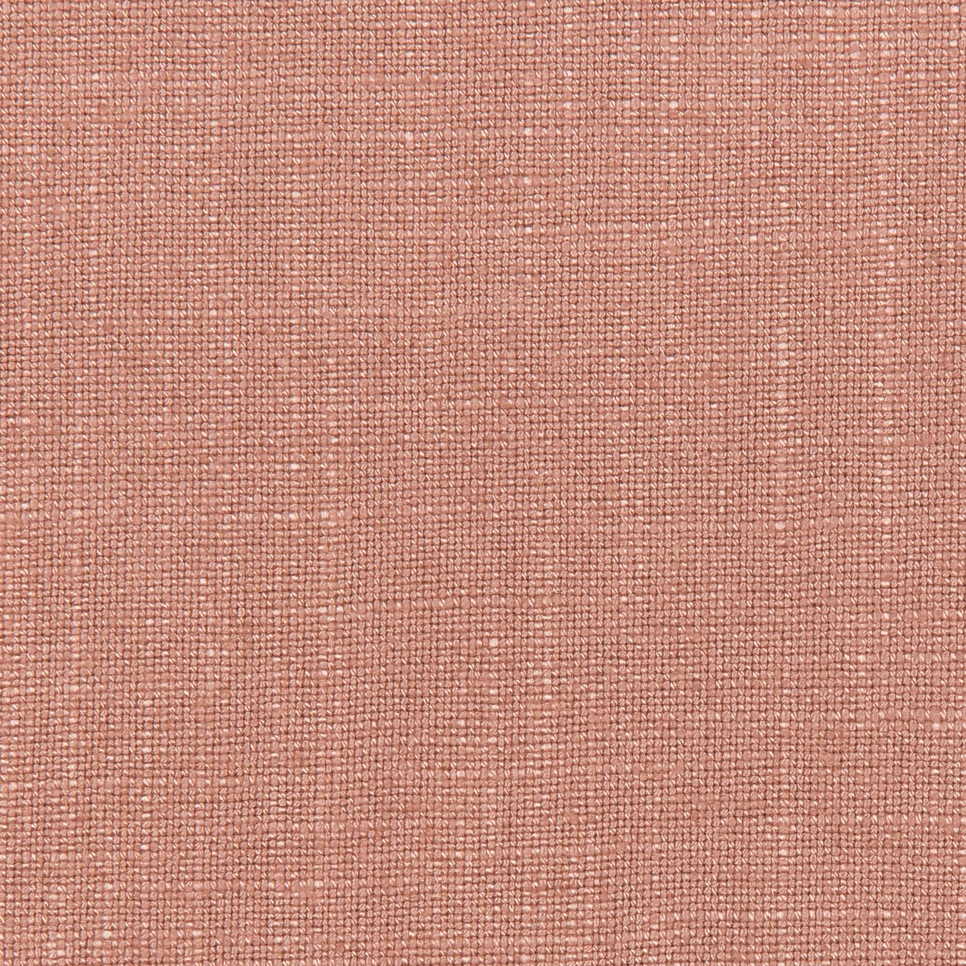 Lovely Aura - 7 Rose