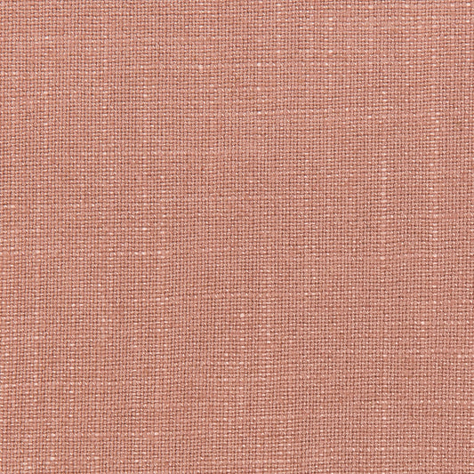 Lovely Aura - 7 Rose