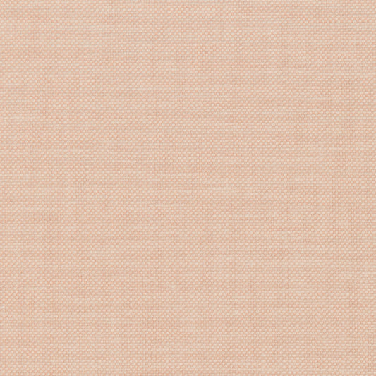 Polo Club - Blush