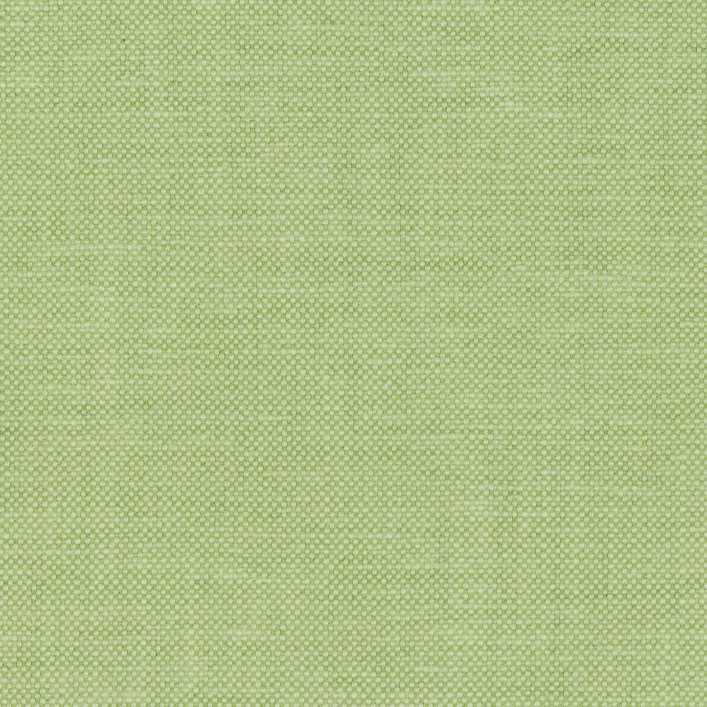 Polo Club - Leaf