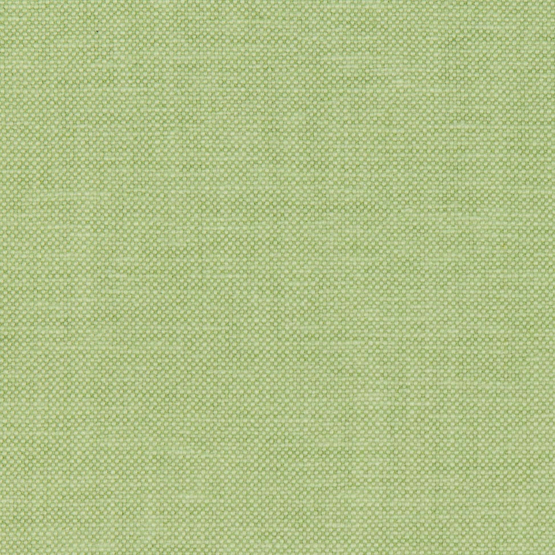 Polo Club - Leaf