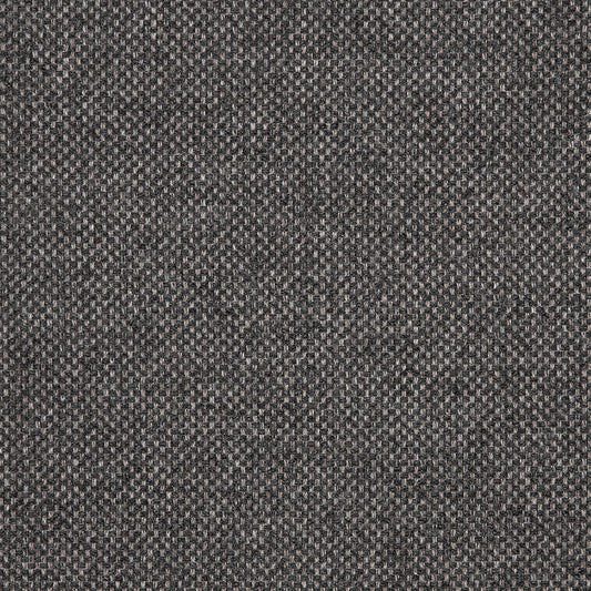 Nurture - Sunbrella Outdoor - Charcoal