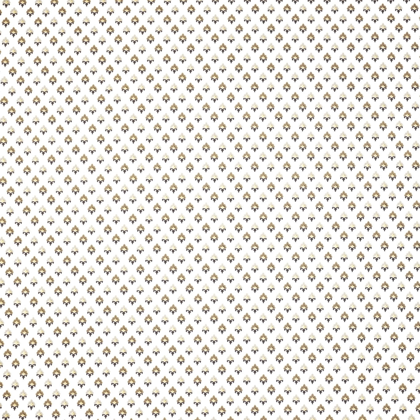 Beck - Beige