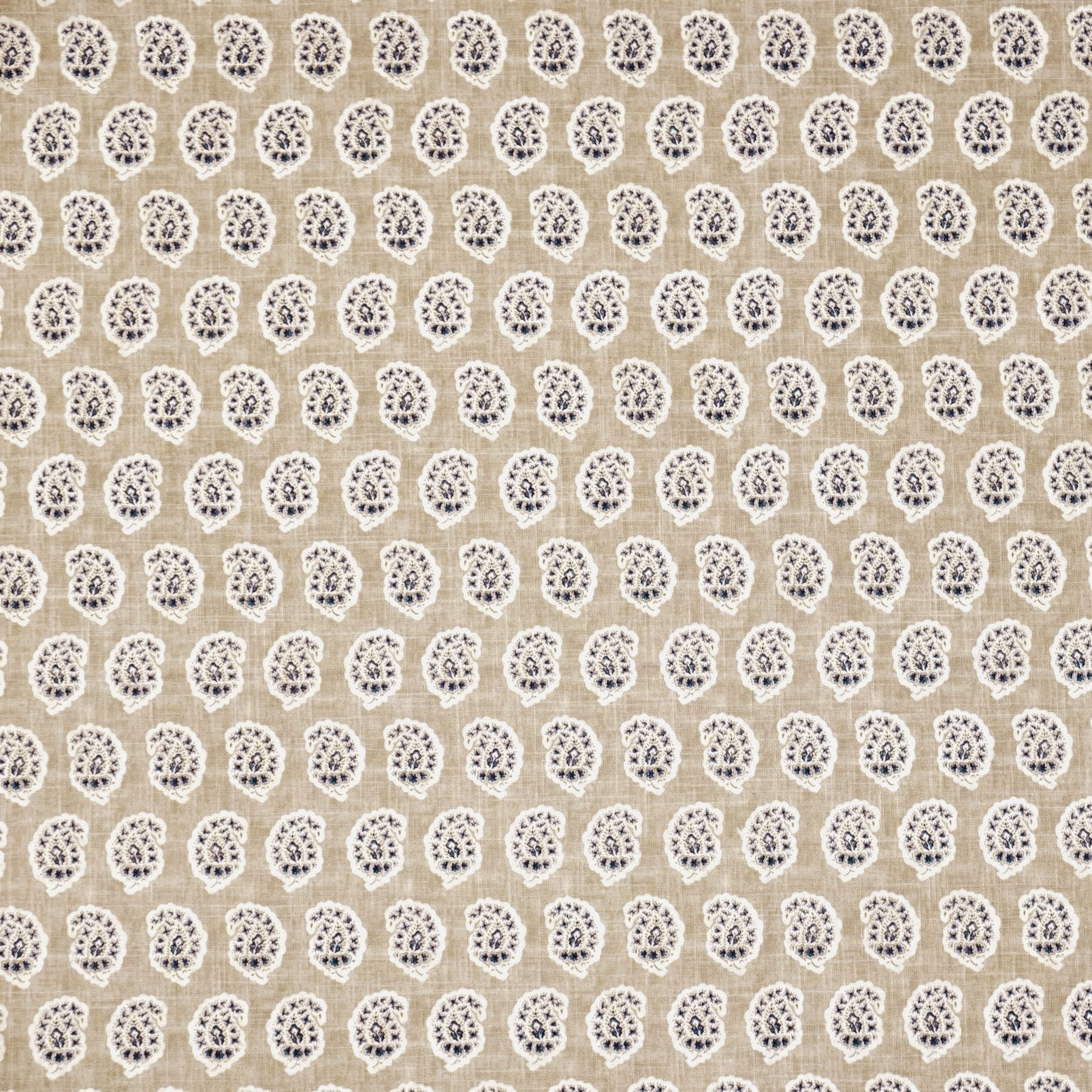 Gil - Beige