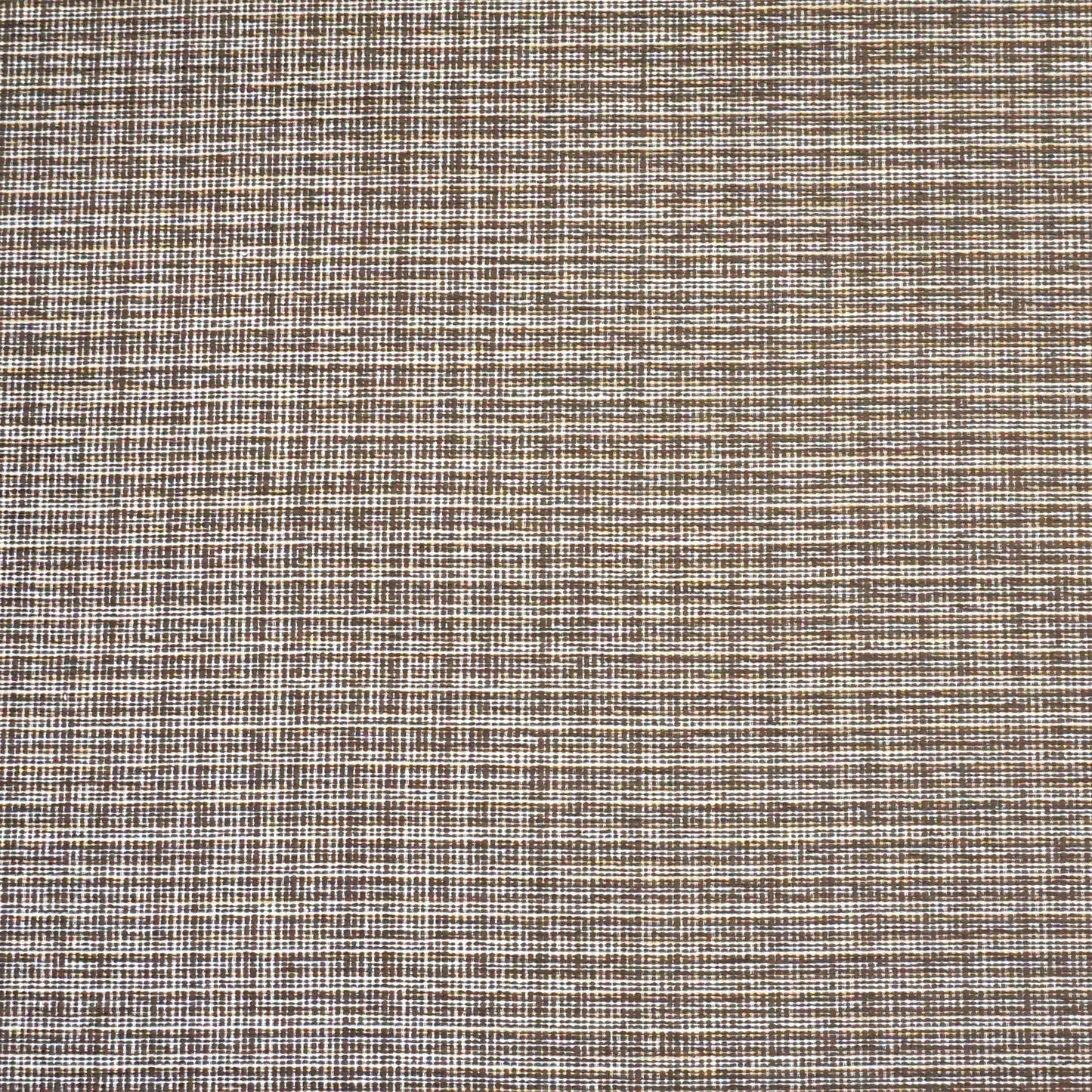 Seward - Inside Out - Bark