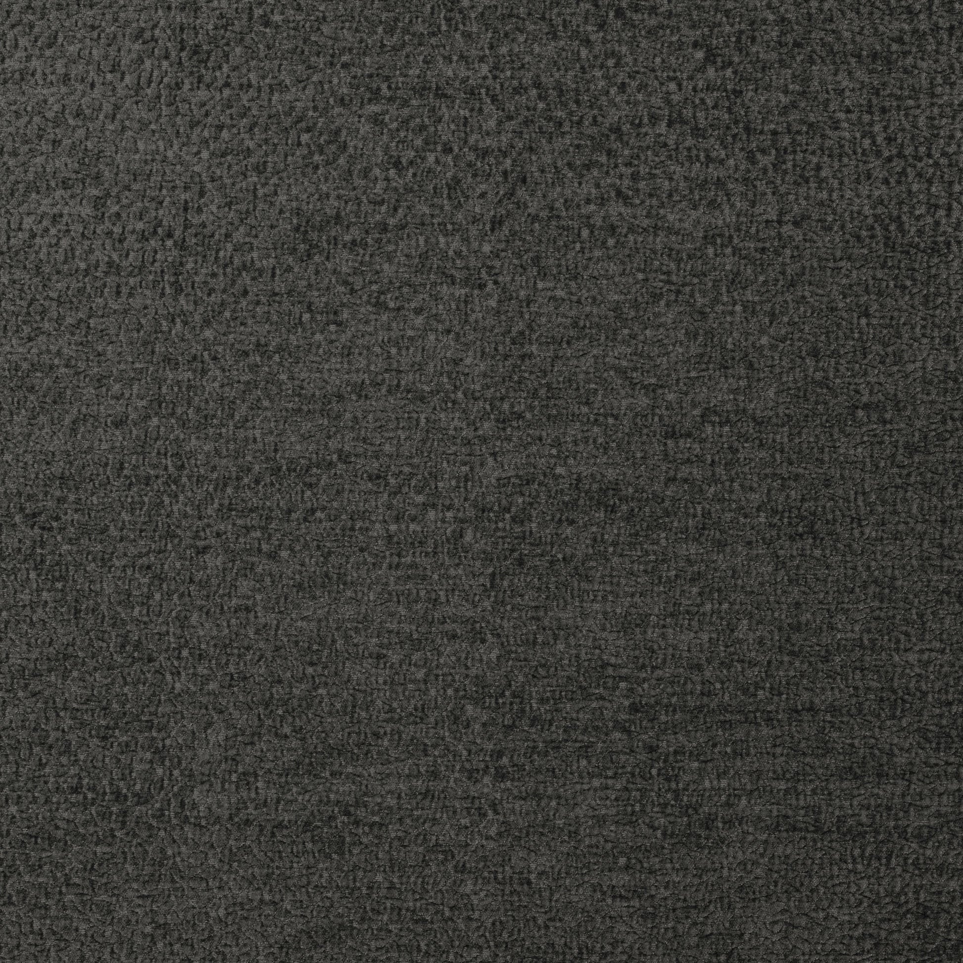 Cuddle - 2121 Graphite
