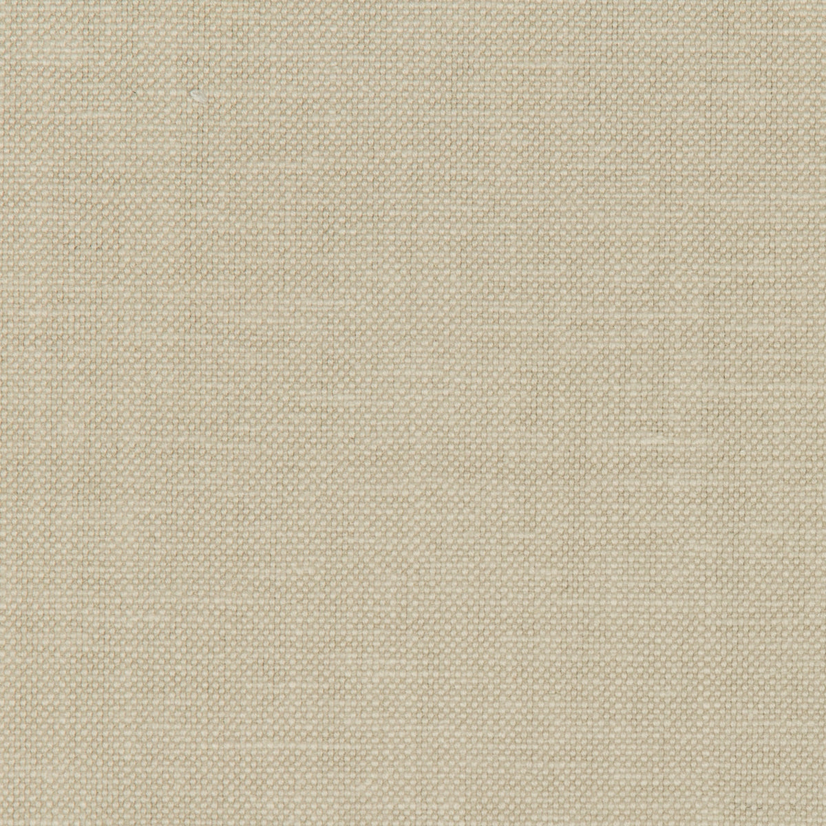 Polo Club - Flax