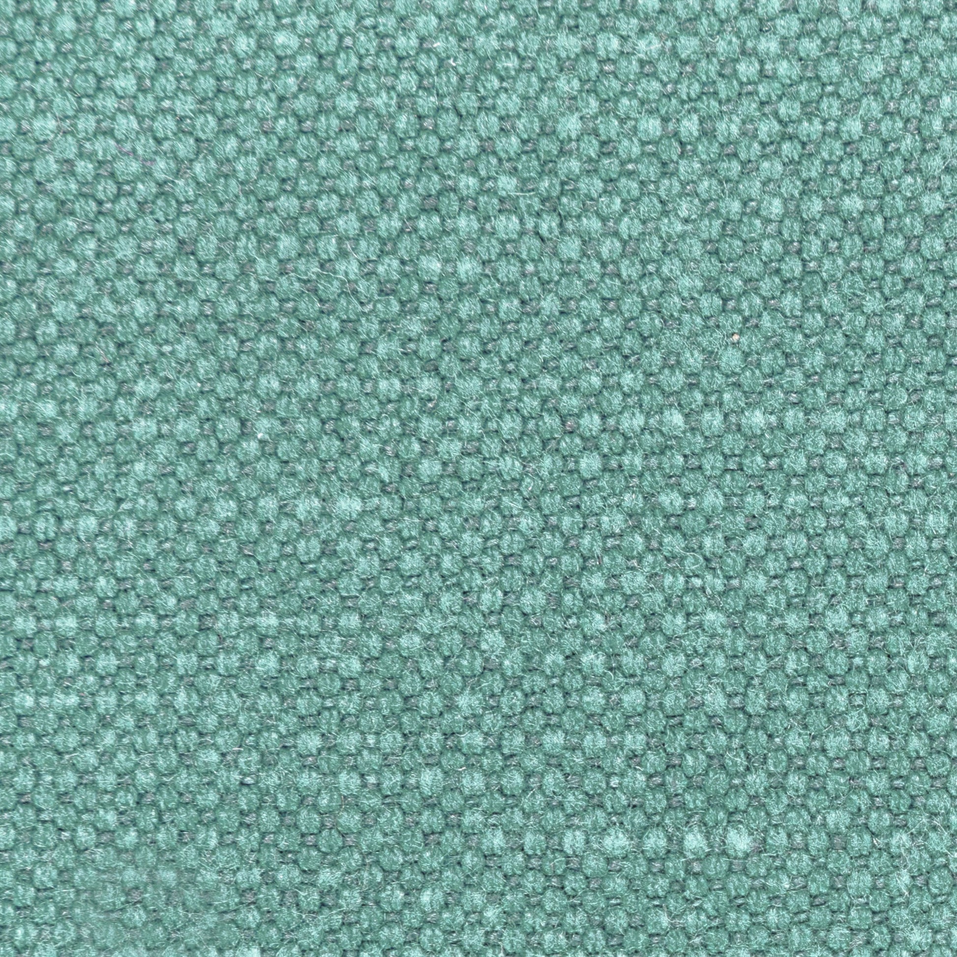 Leno - 13 Spearmint