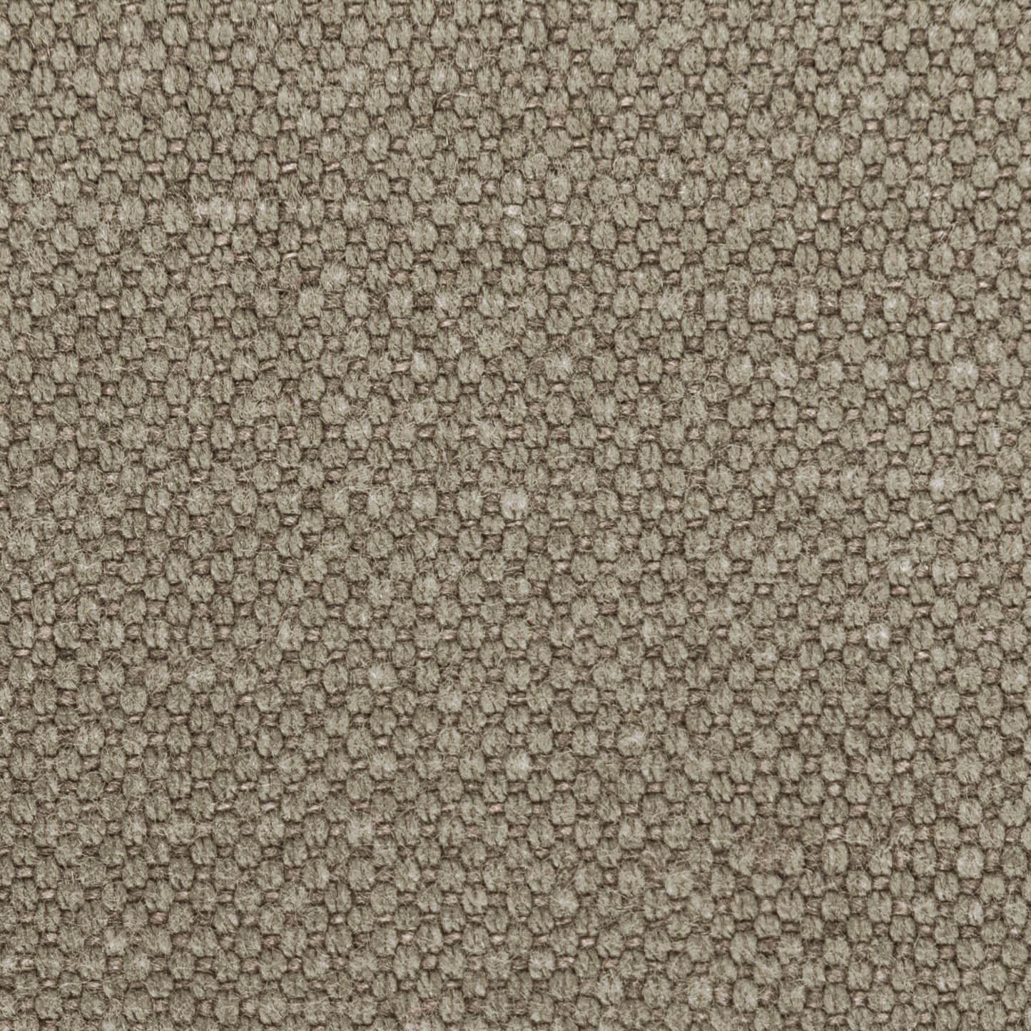 Leno - 1621 Steam