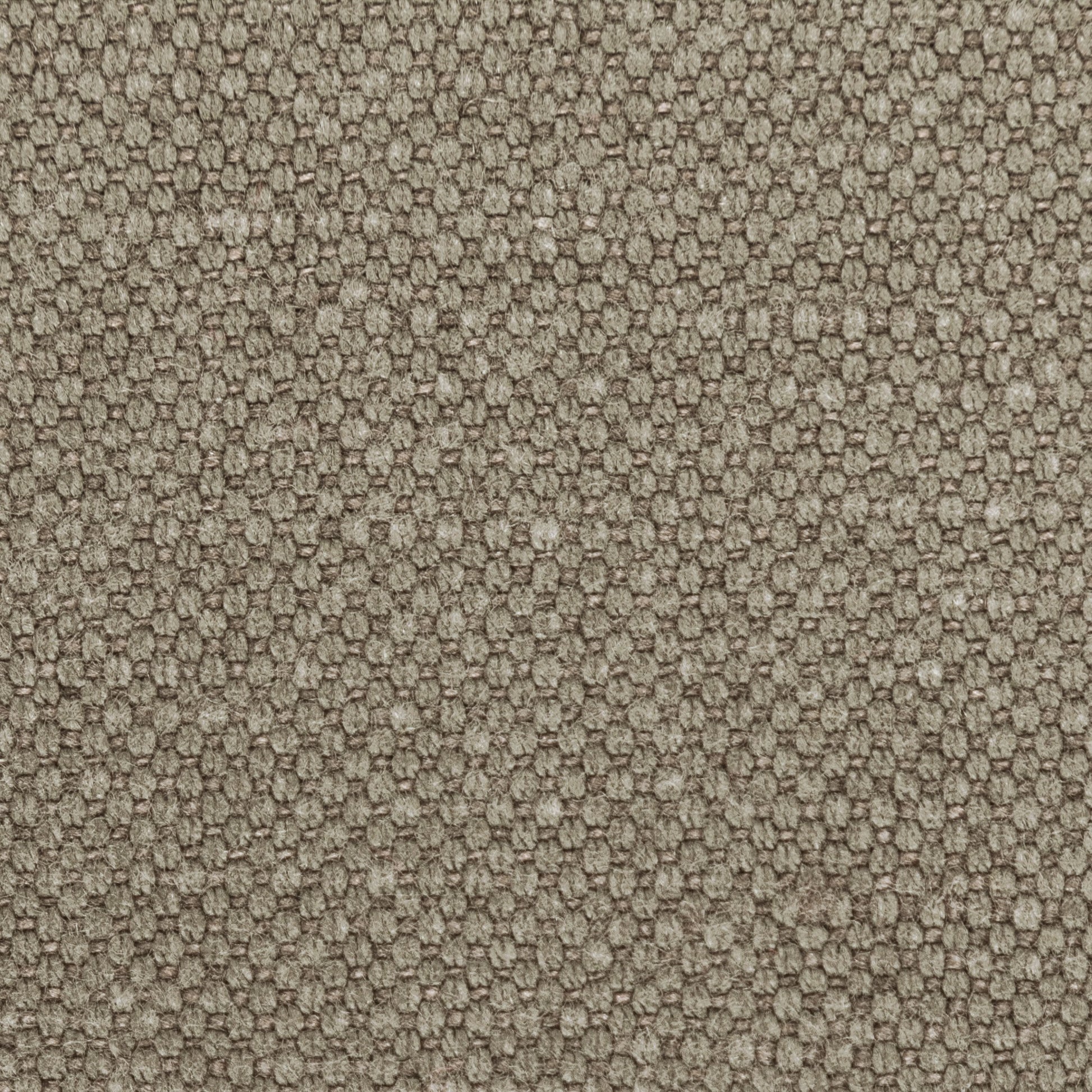 Leno - 1621 Steam