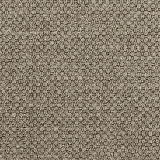 Leno - 1621 Steam