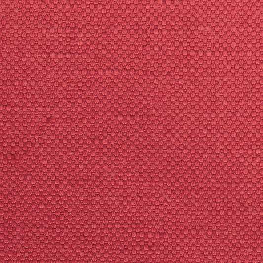 Leno - 19 Roses