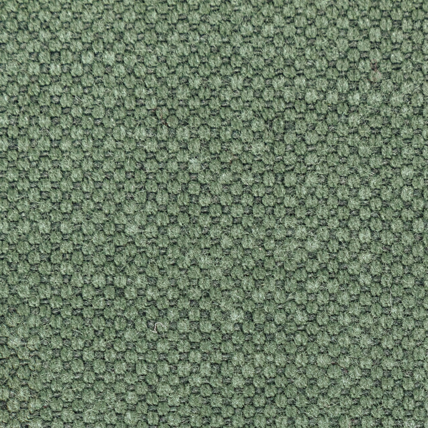 Leno - 3535 Relish
