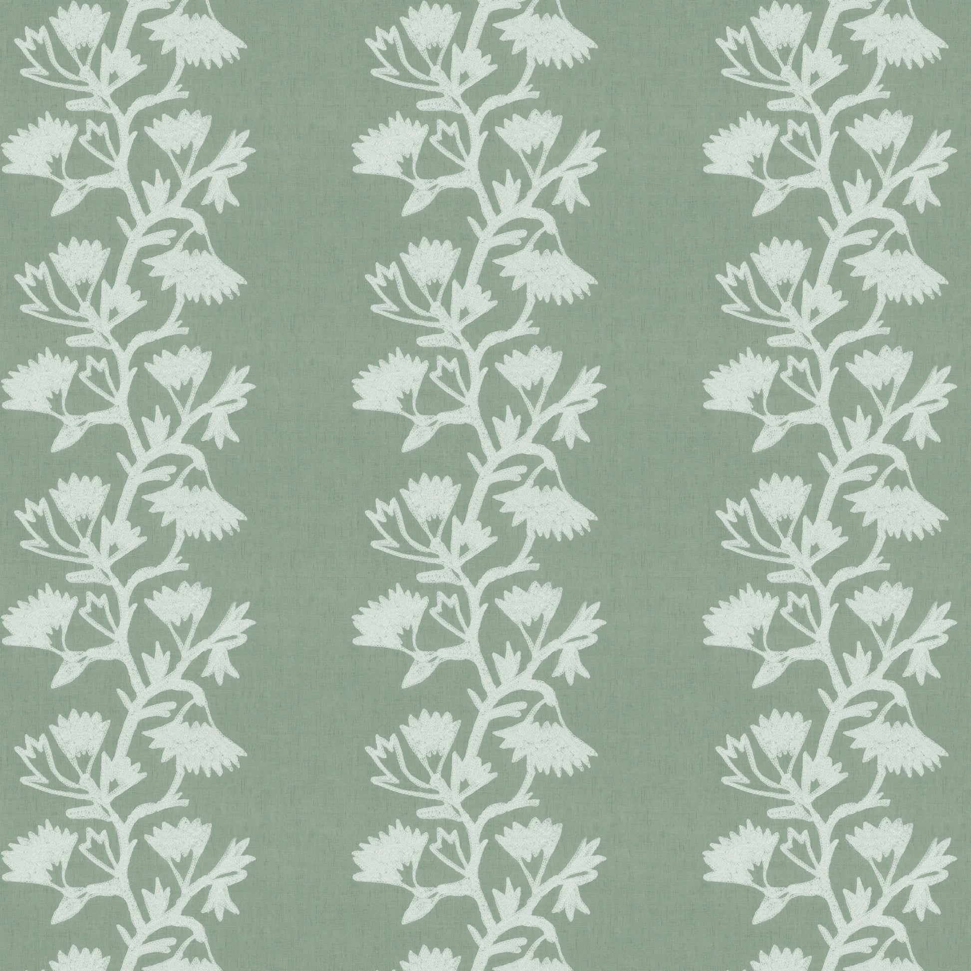 Kenley (Fc) - Dusty Miller