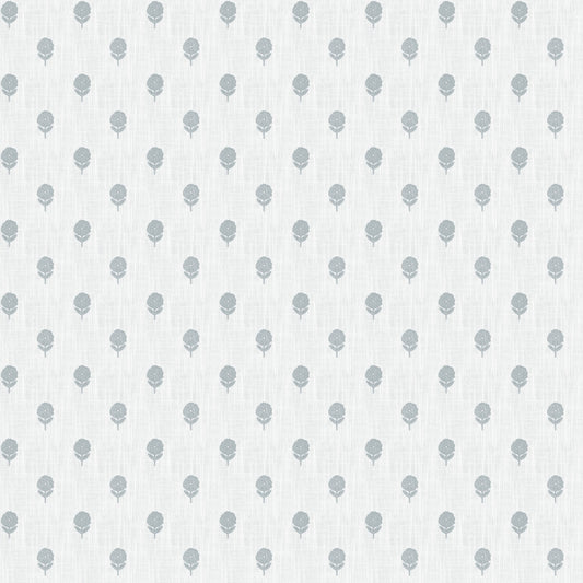 Mirembe (Fc) - Dusty Miller