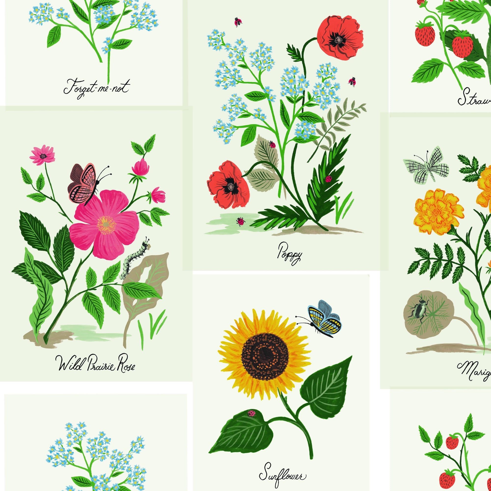 RP7334 - Rifle Paper - Botanical Prints – Calico