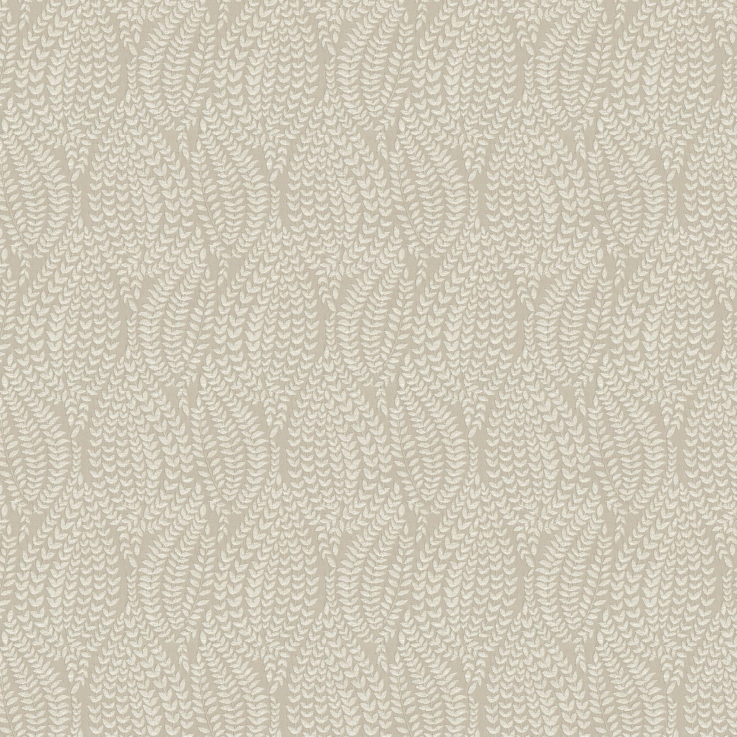 Cormac - Latte