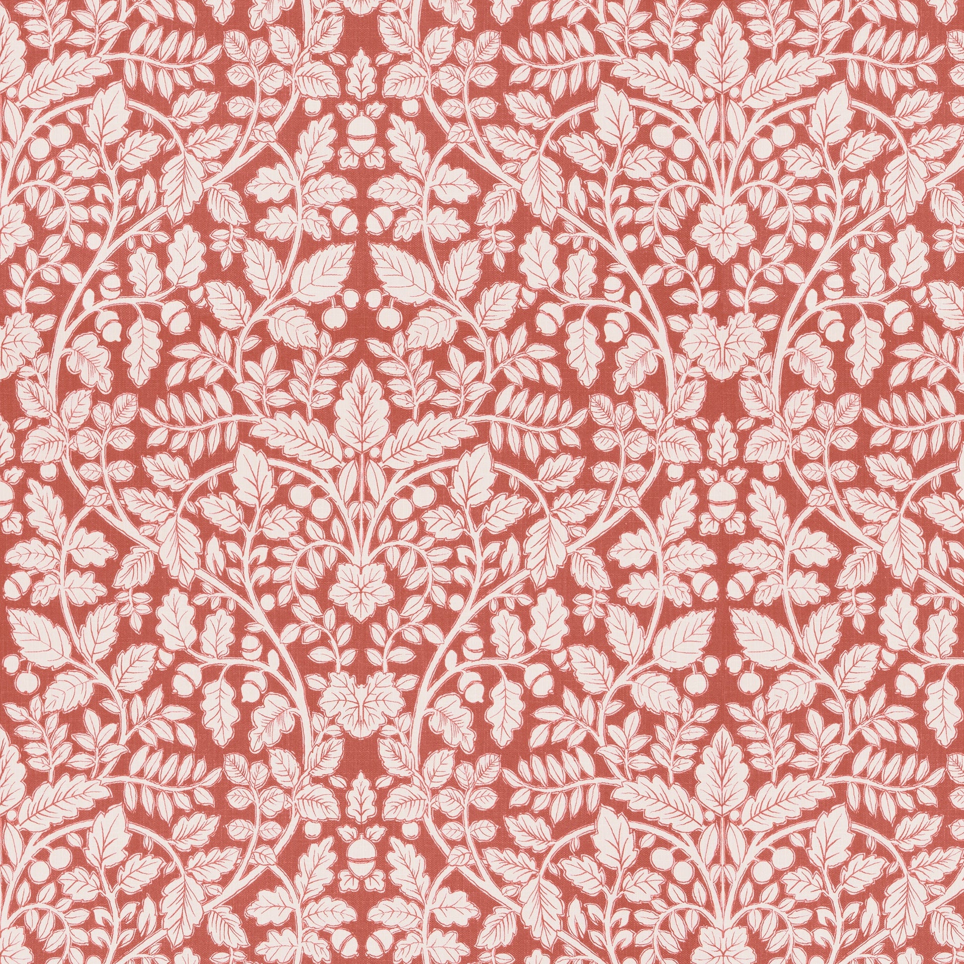 Portales (Fc) - Echo - Coral