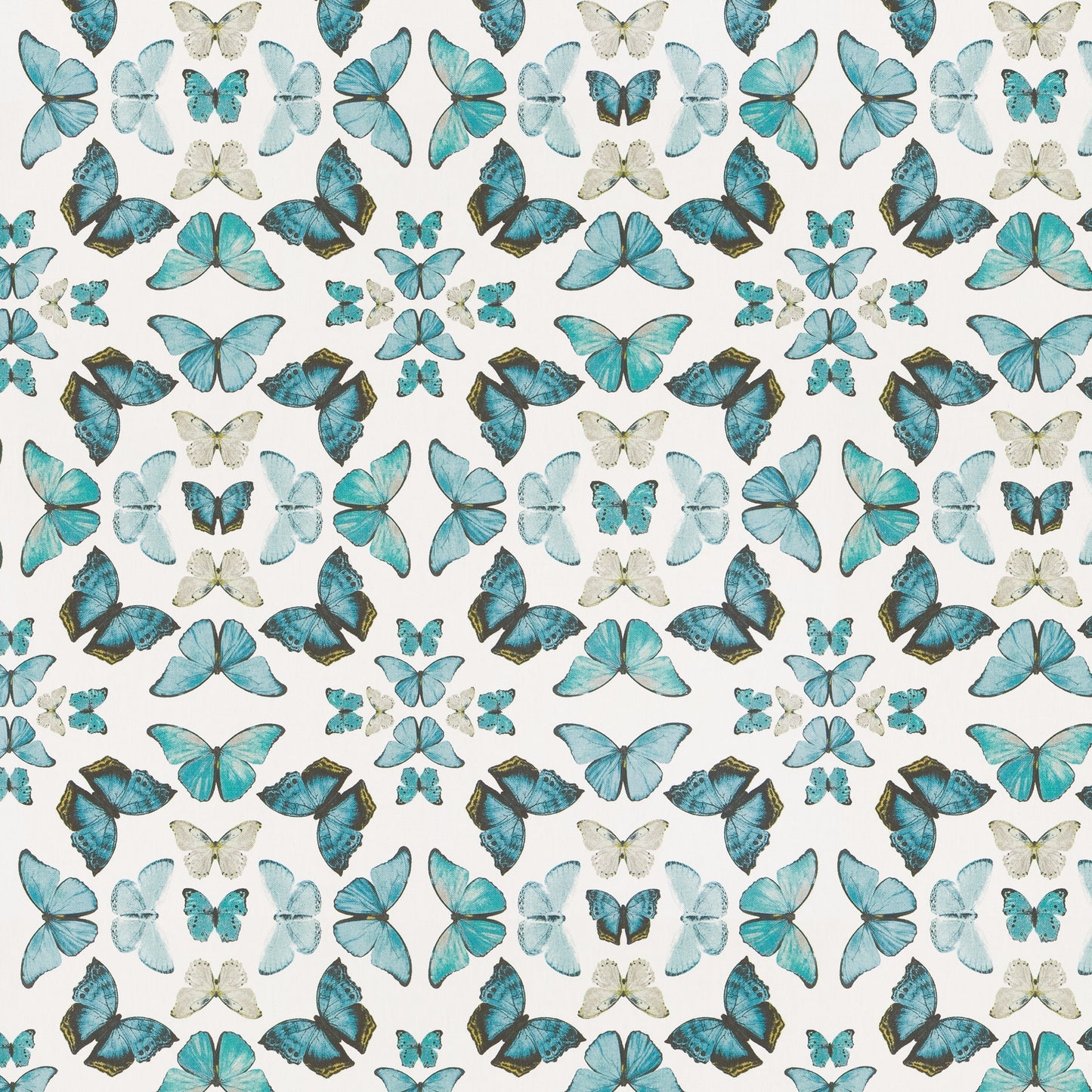Talpa (Fc) - Echo - Turquoise