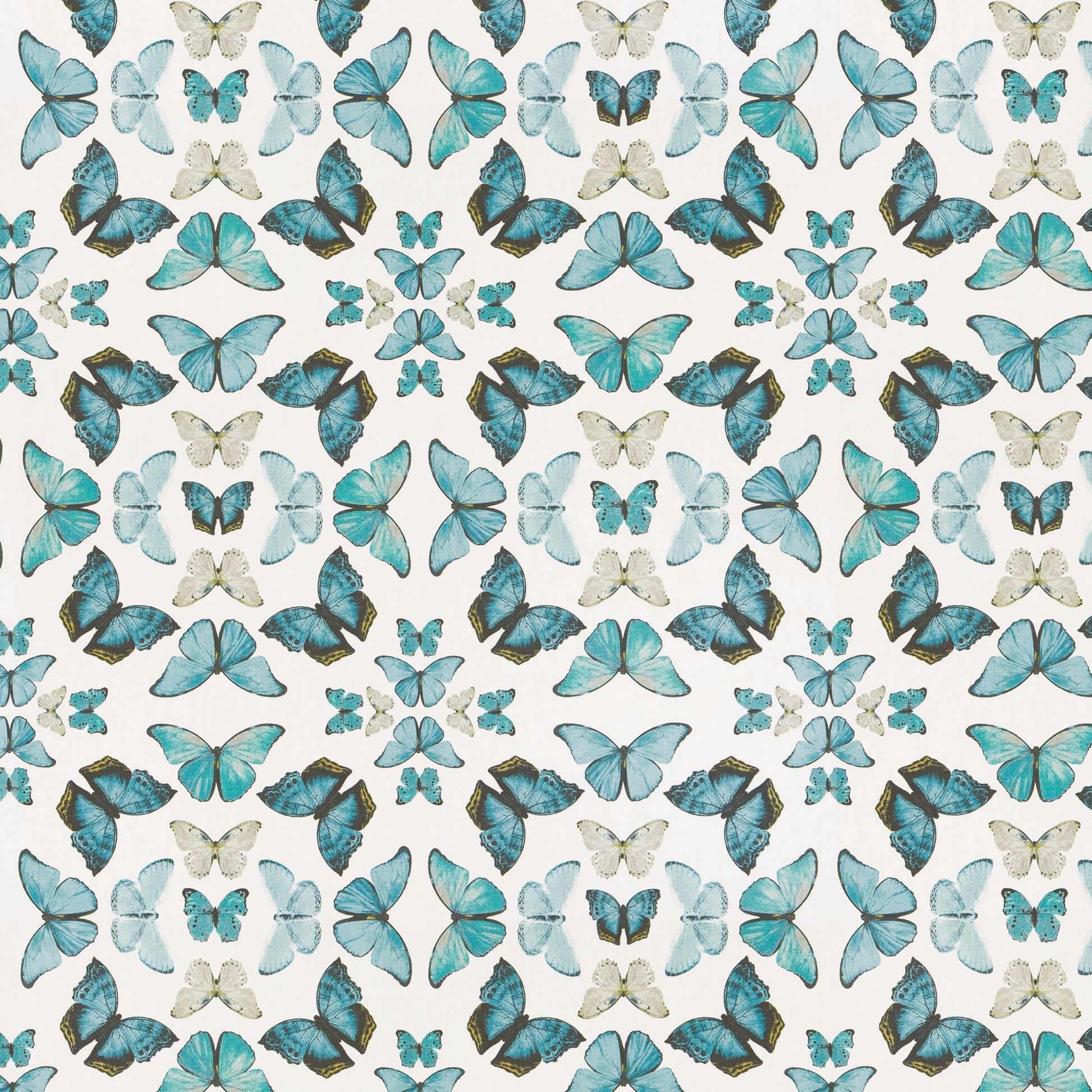 Talpa (Fc) - Echo - Turquoise