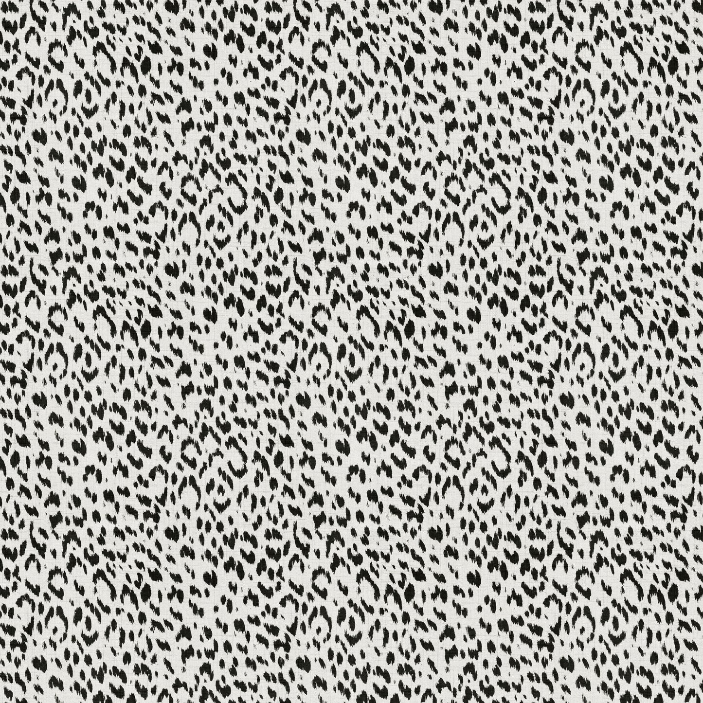 Artesia (Fc) - Echo - Black & White