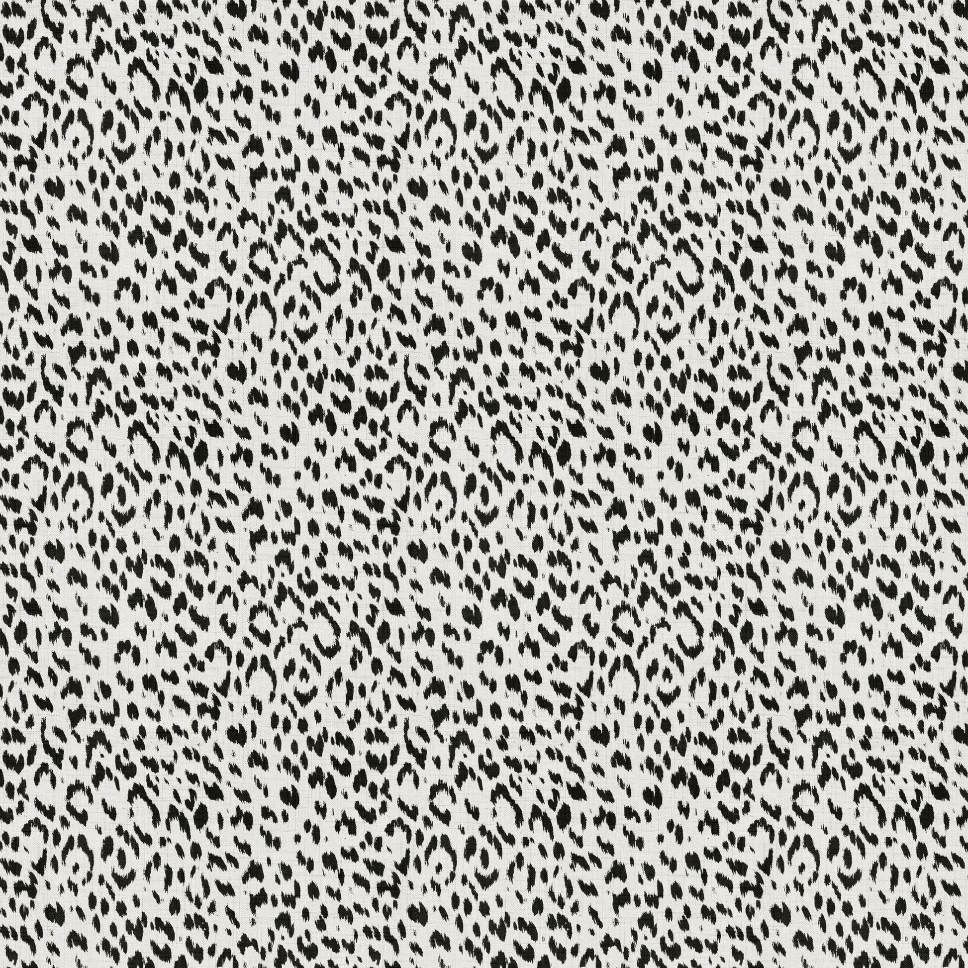 Artesia (Fc) - Echo - Black & White