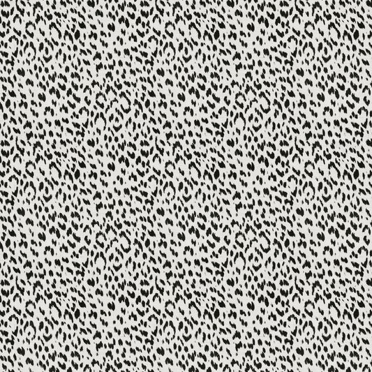 Artesia (Fc) - Echo - Black & White