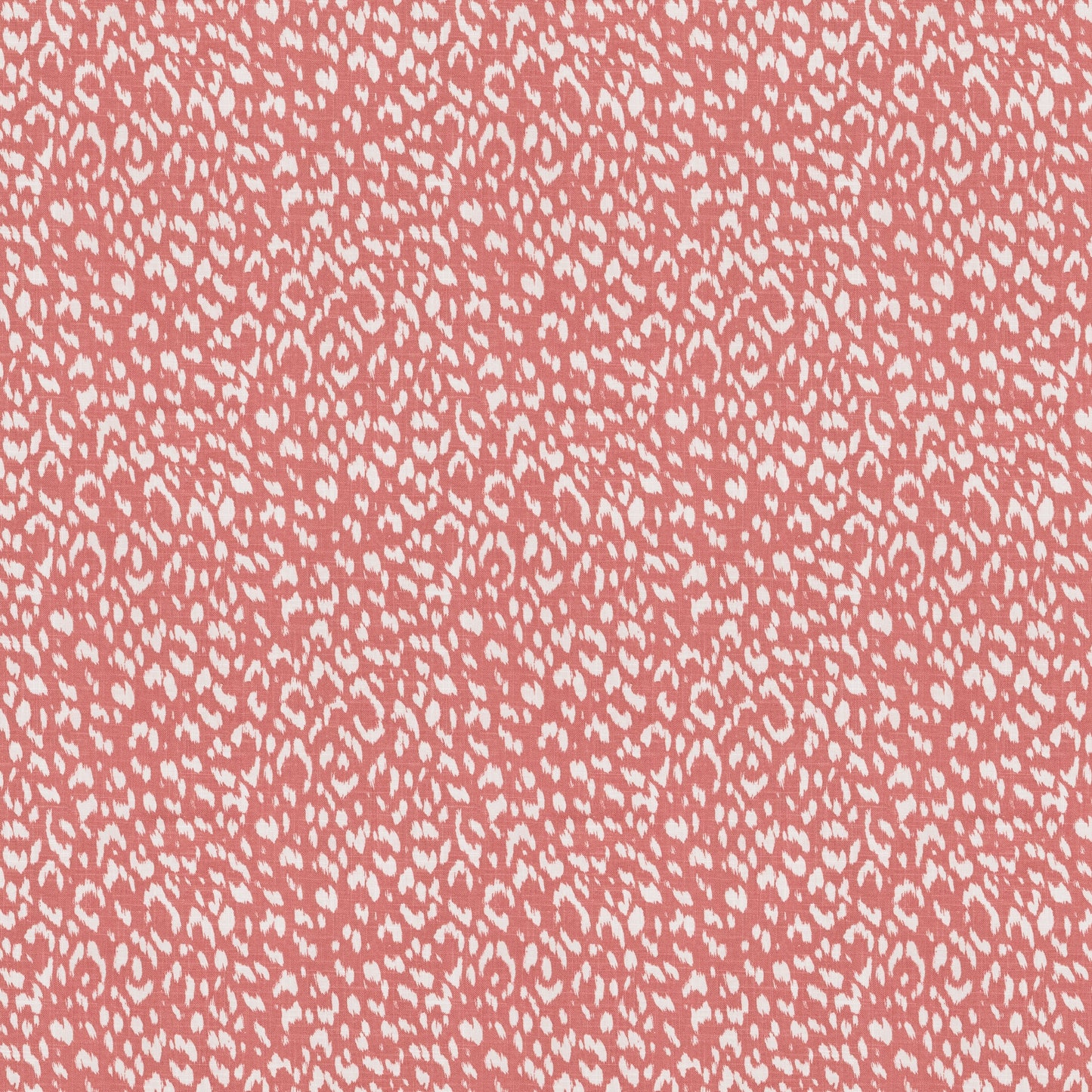 Artesia (Fc) - Echo - Coral