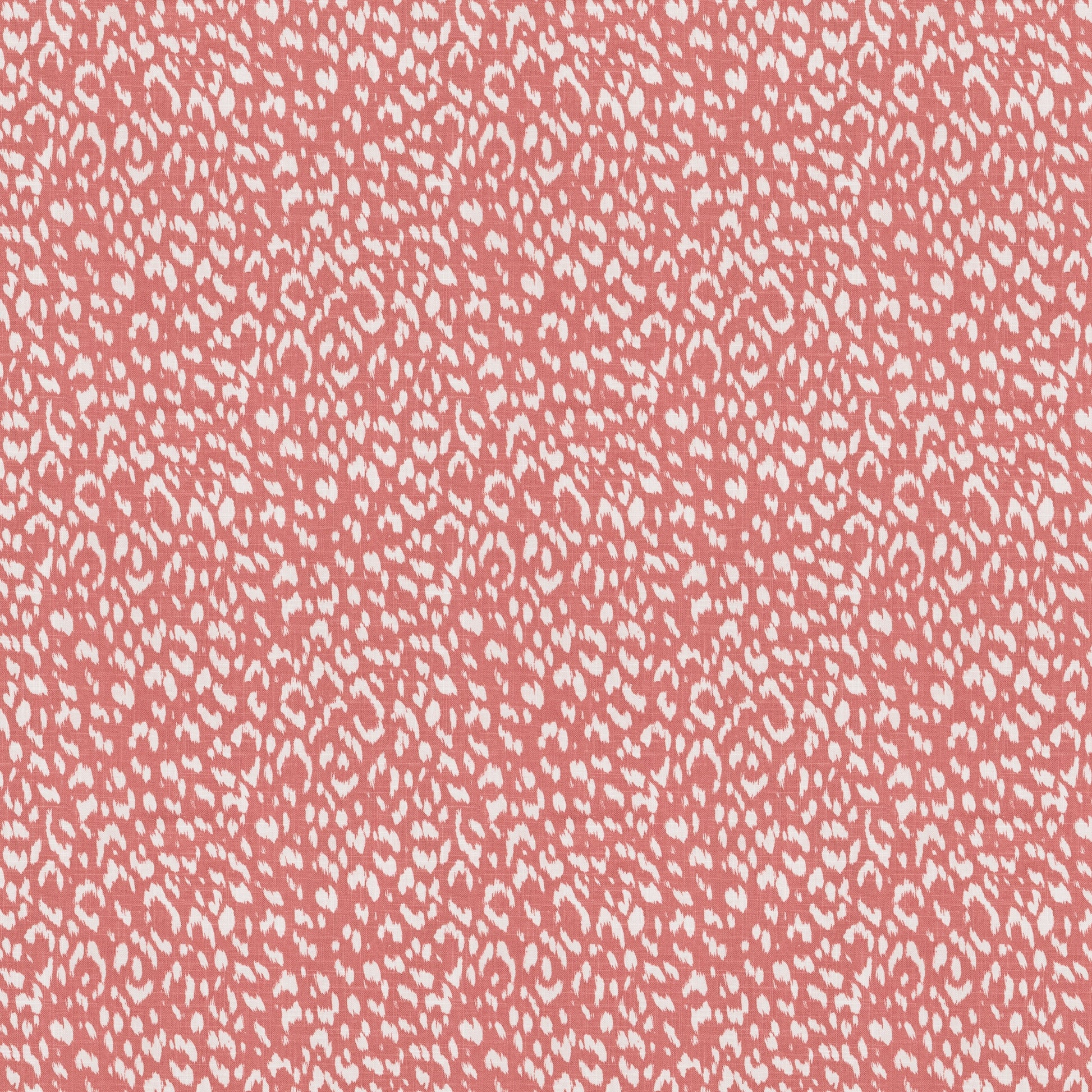 Artesia (Fc) - Echo - Coral