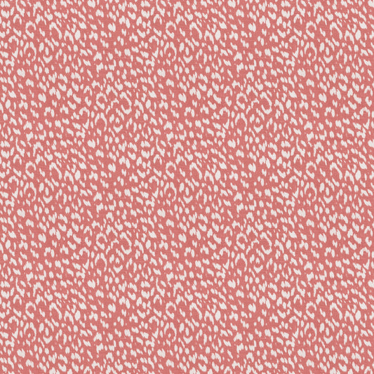 Artesia (Fc) - Echo - Coral