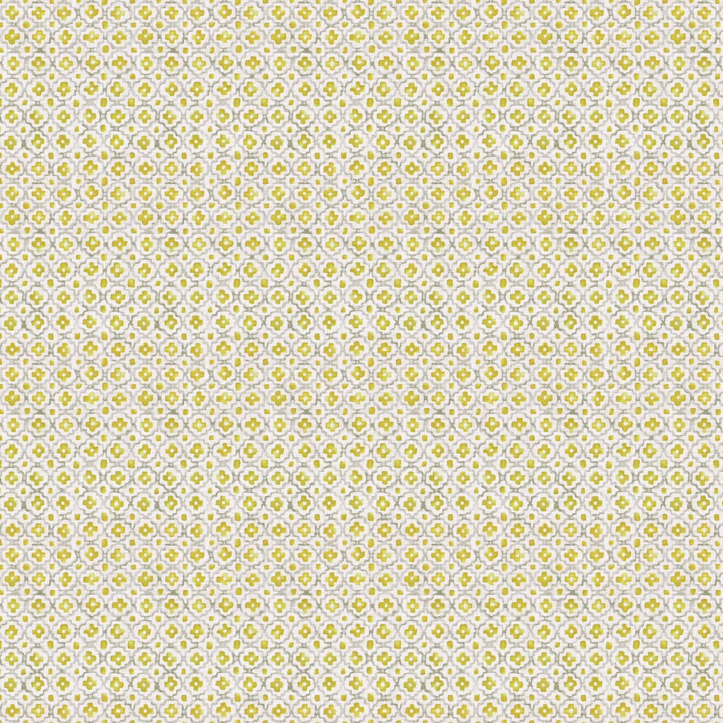 Dulce (Fc) - Echo - Citrus