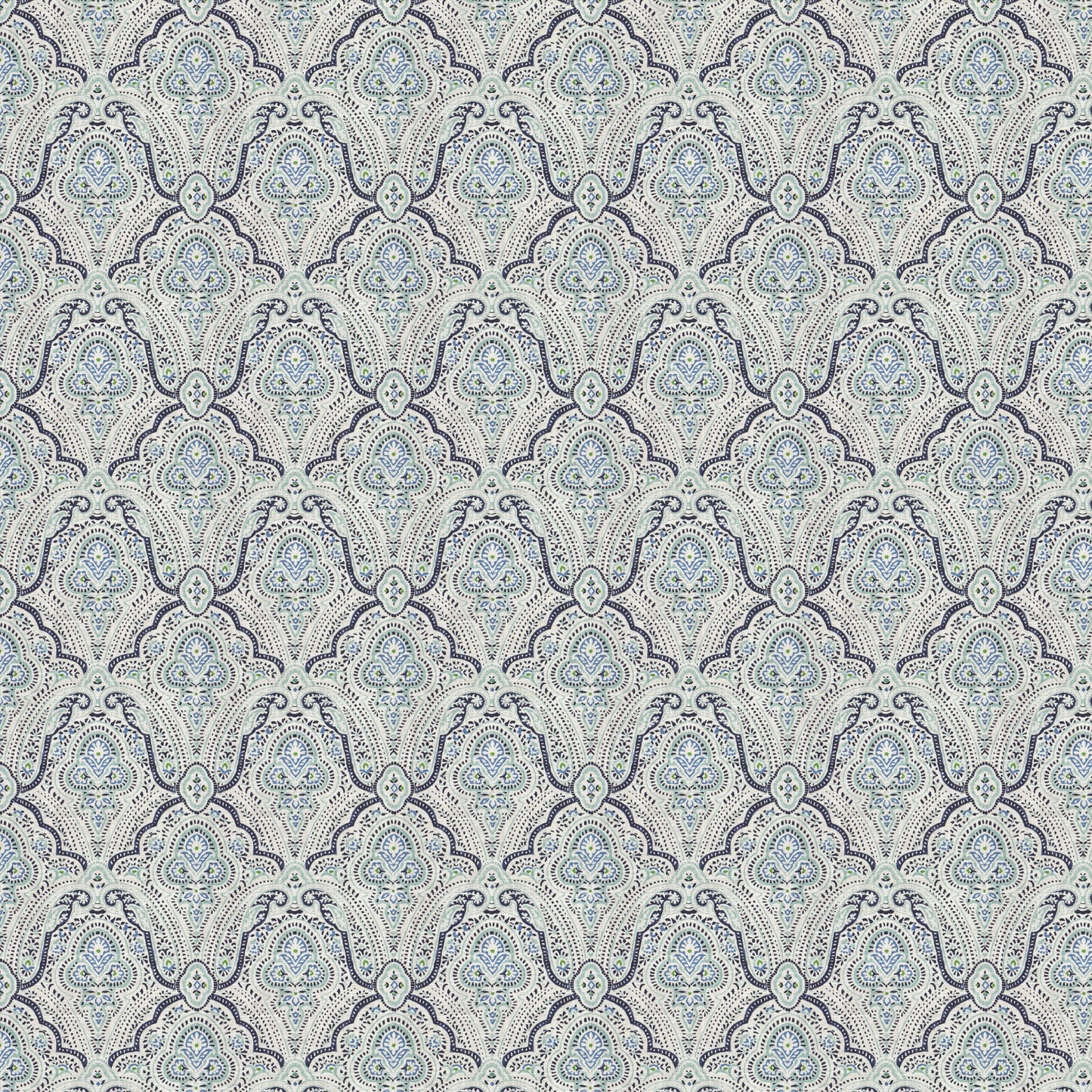 Clovis (Fc) - Echo - Indigo