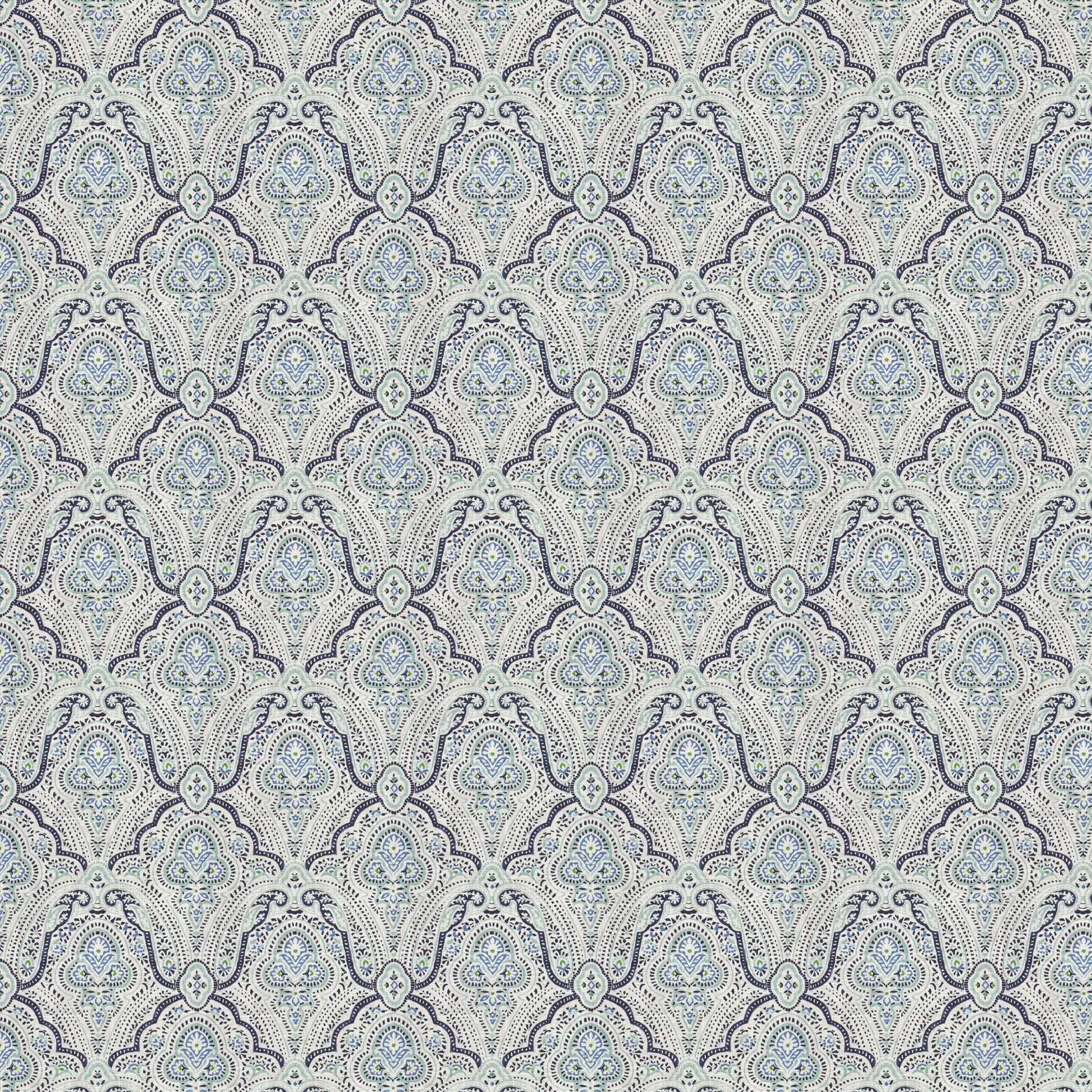 Clovis (Fc) - Echo - Indigo
