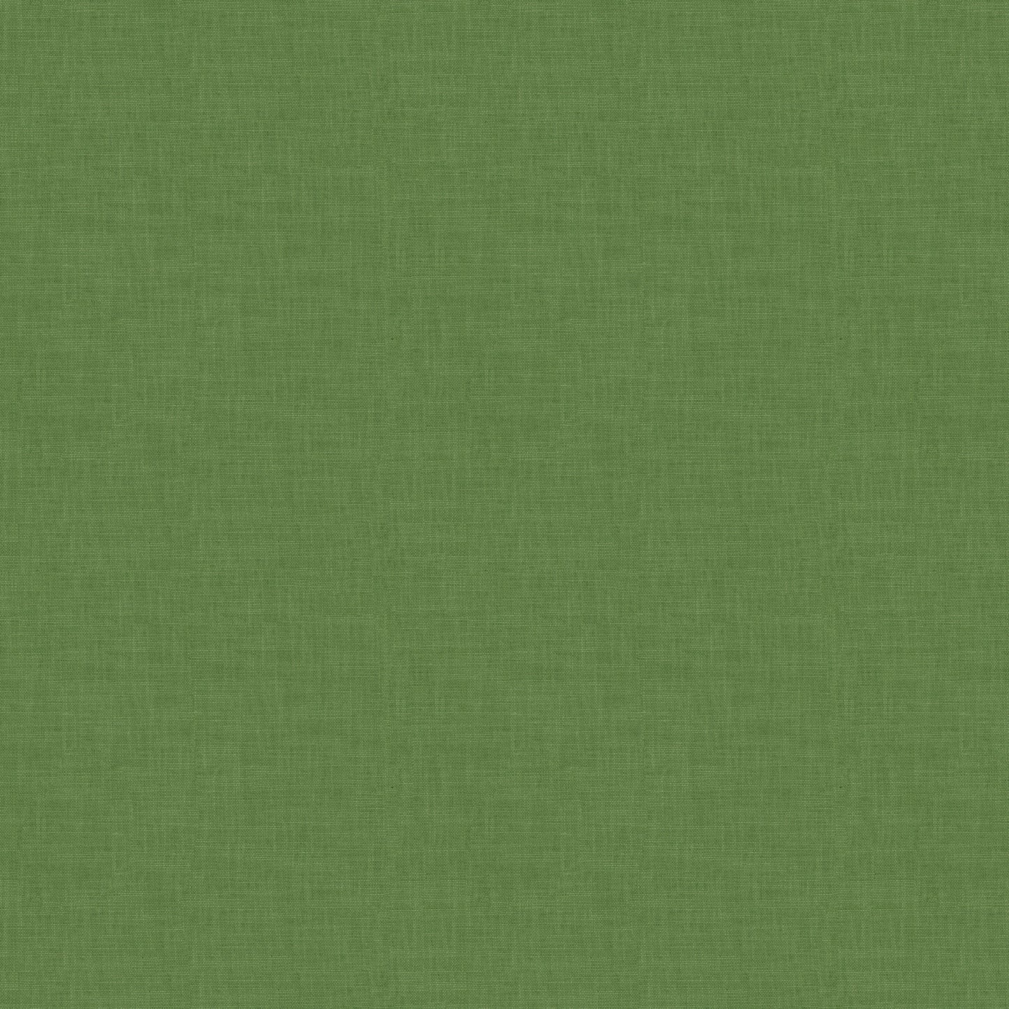 Adelino (Fc) - Echo - Palm