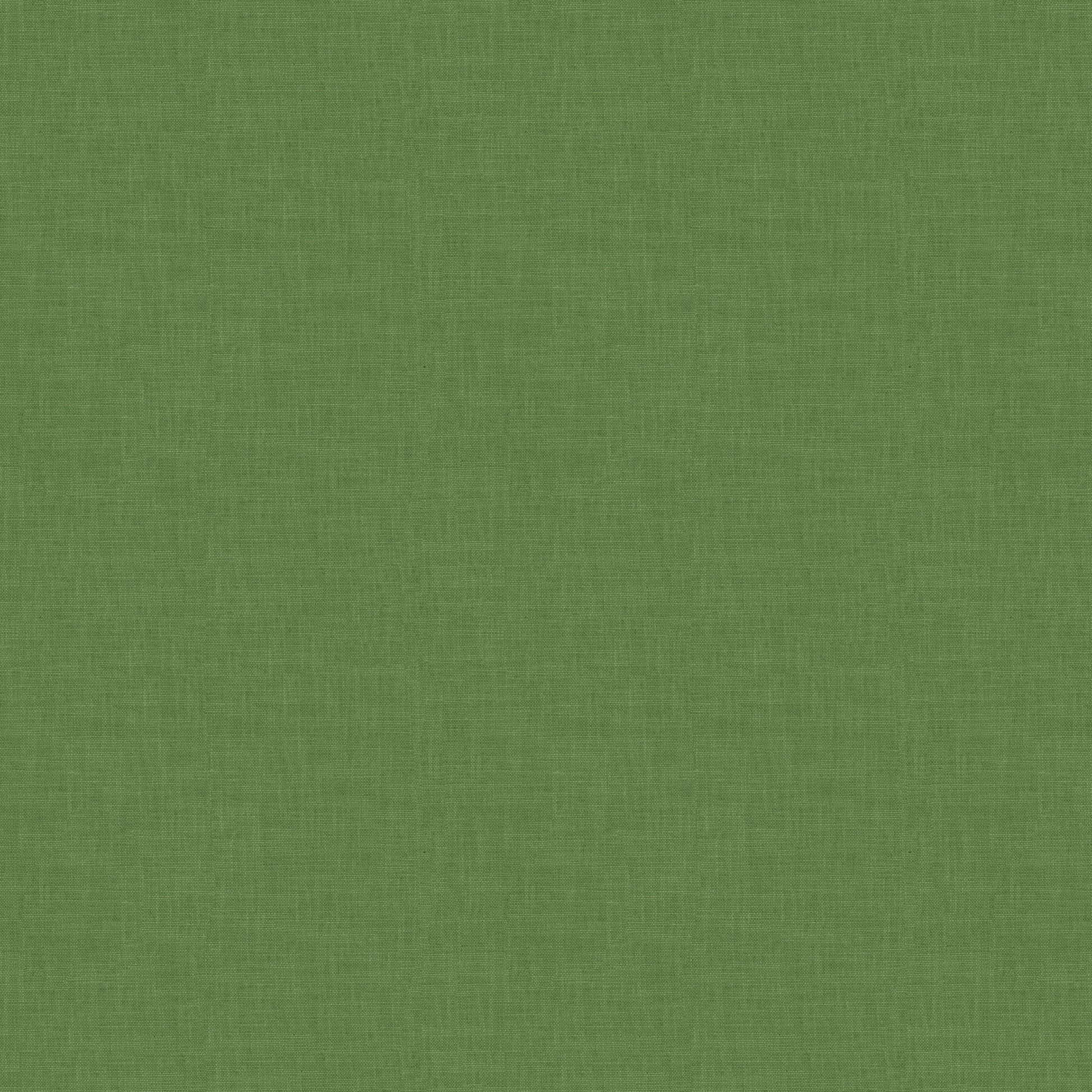 Adelino (Fc) - Echo - Palm