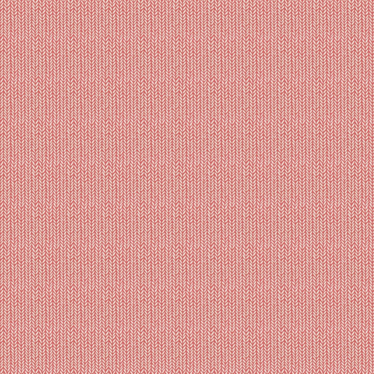 Moriarty (Fc) - Echo - Coral