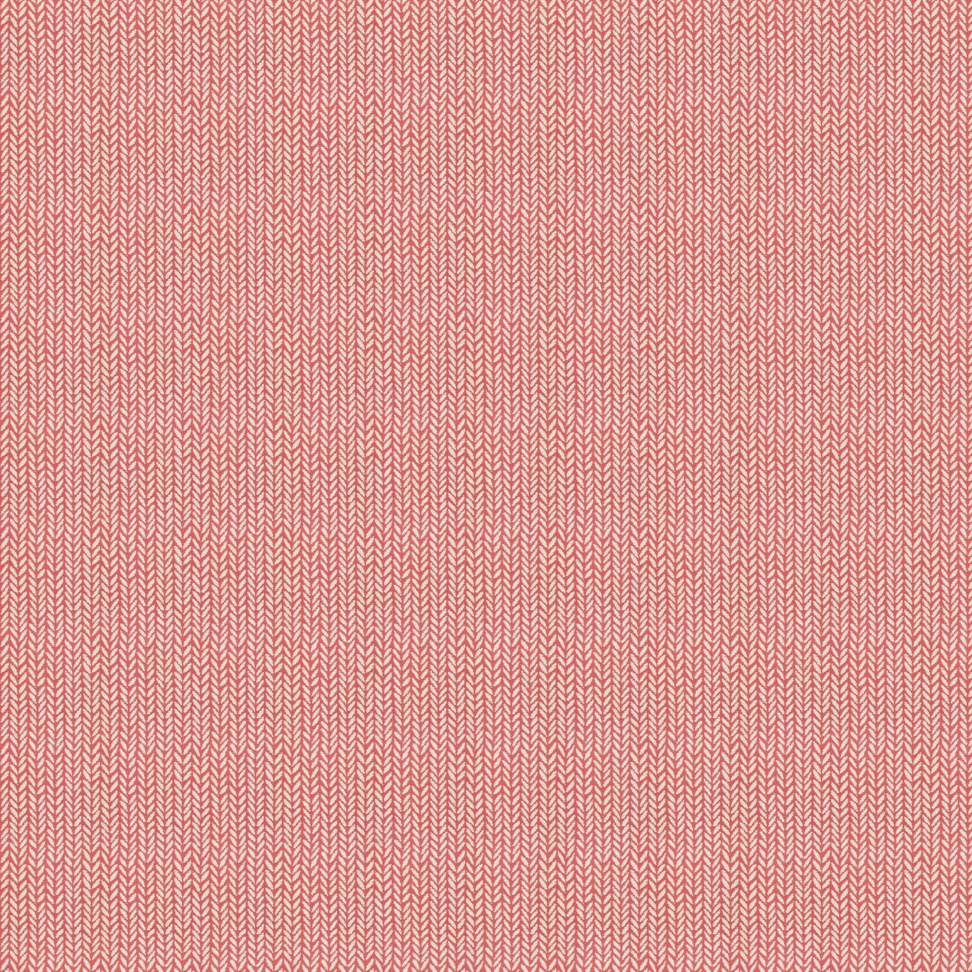 Moriarty (Fc) - Echo - Coral