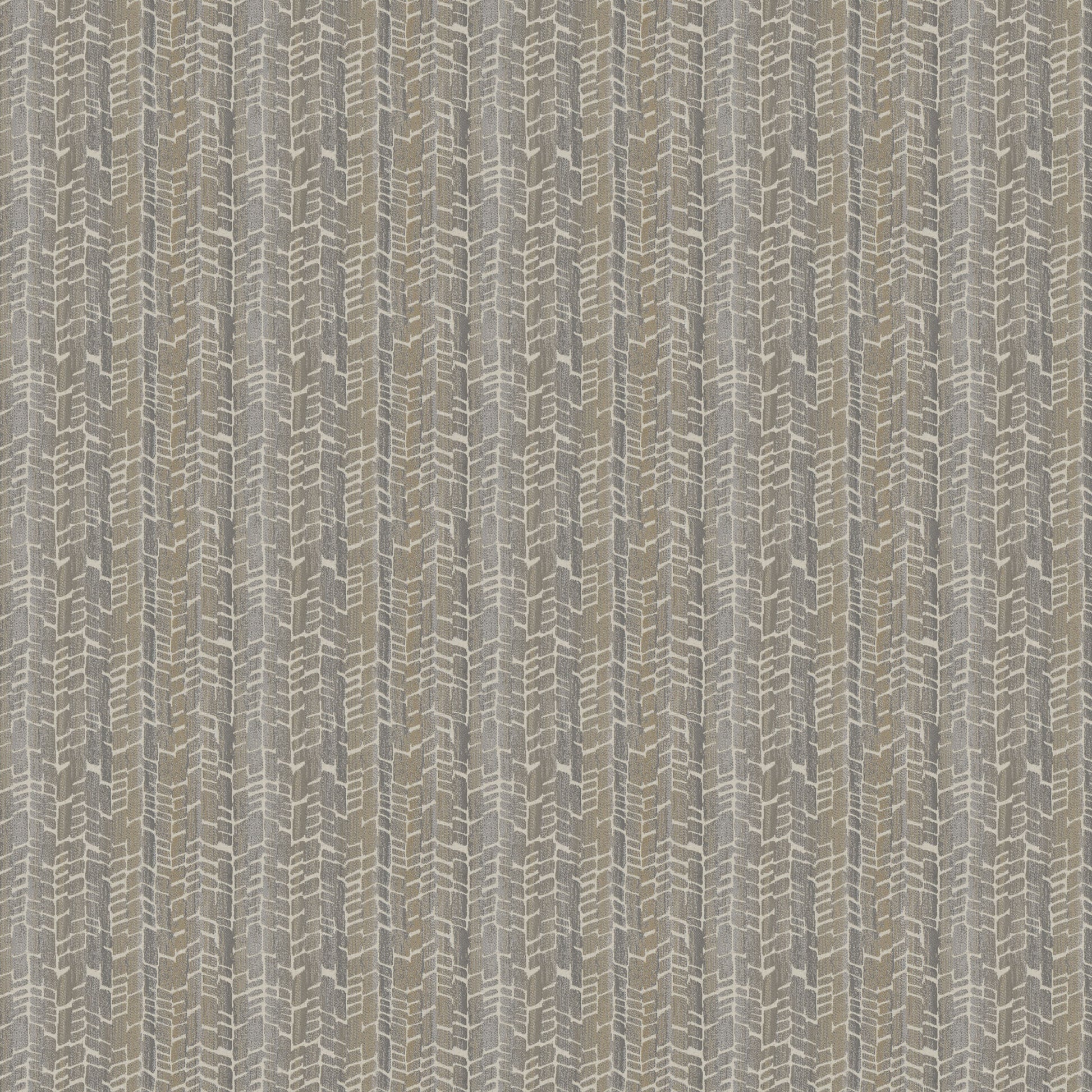Warmwinds Od (Fc) - Bella Dura - Birch