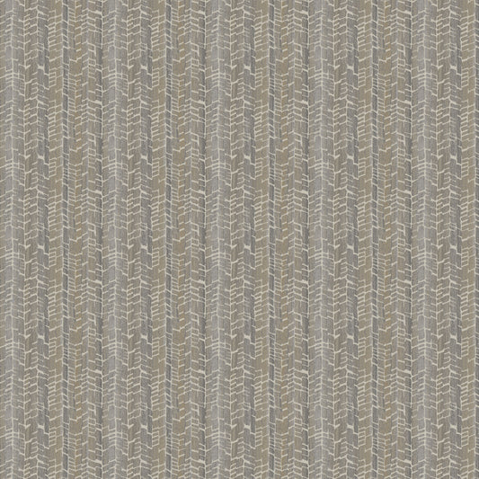 Warmwinds Od (Fc) - Bella Dura - Birch