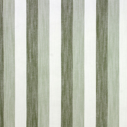 Seger Stripe (Ri) - Agave