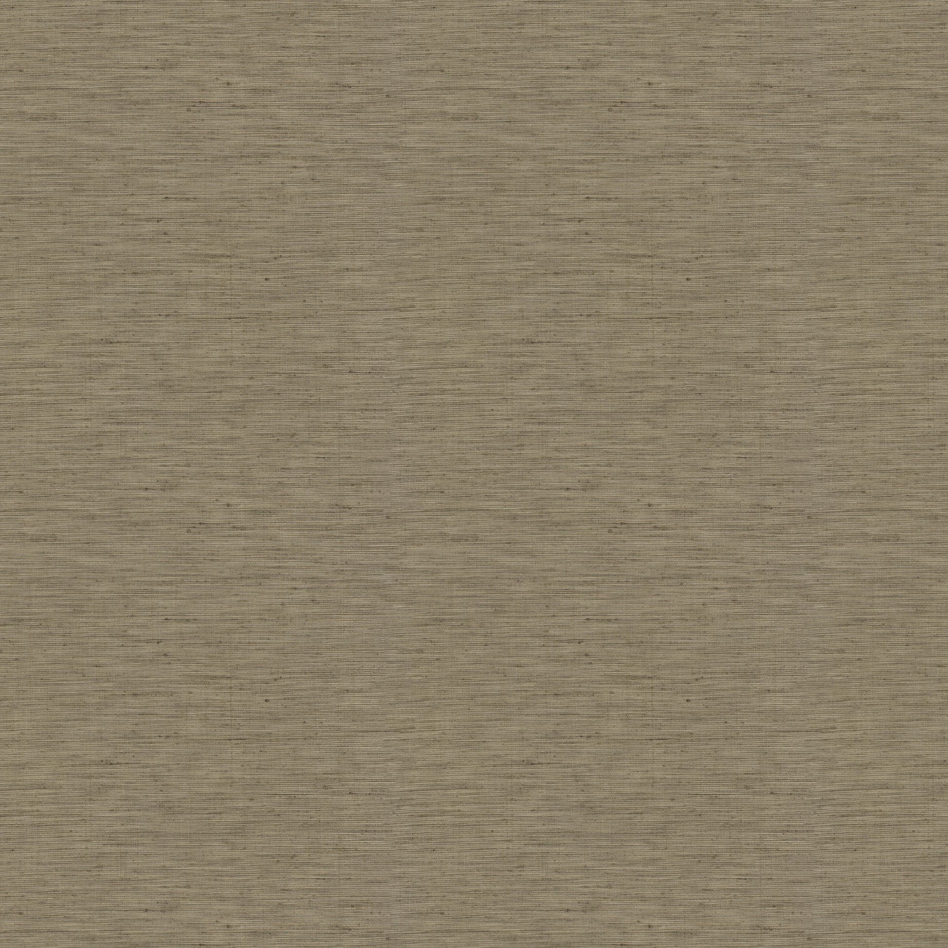 Chalbi (Fc) - Rattan