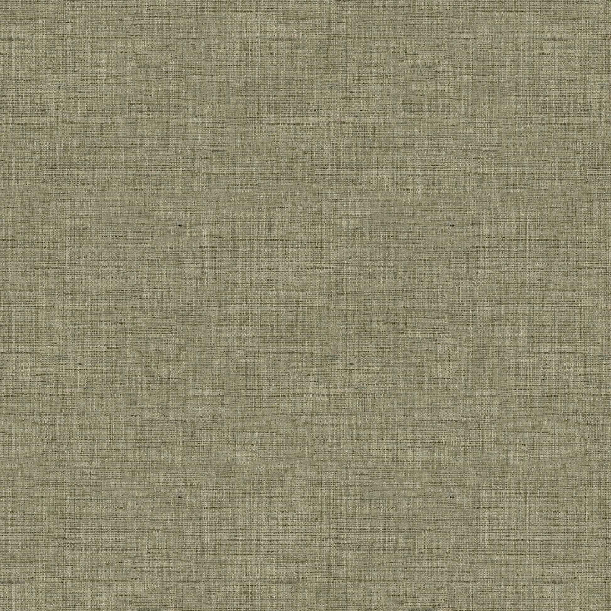Karakum (Fc) - Leaf