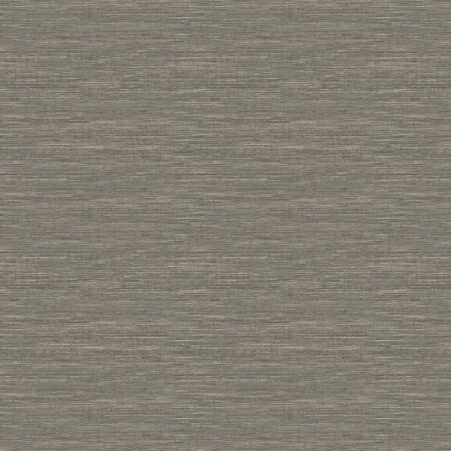 Saguaro (Fc) - Graphite
