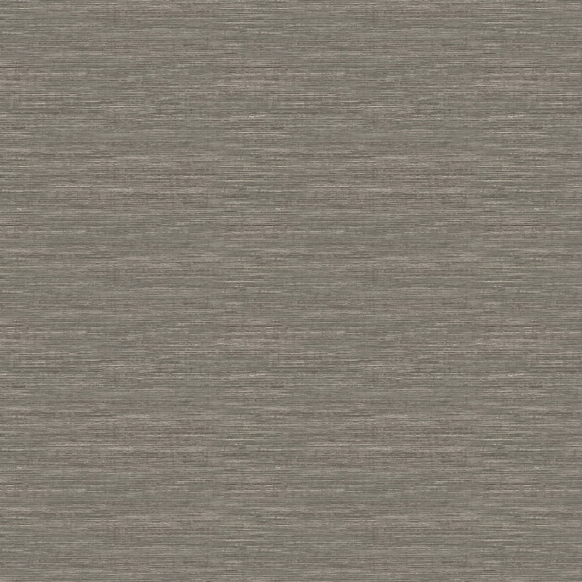 Saguaro (Fc) - Graphite